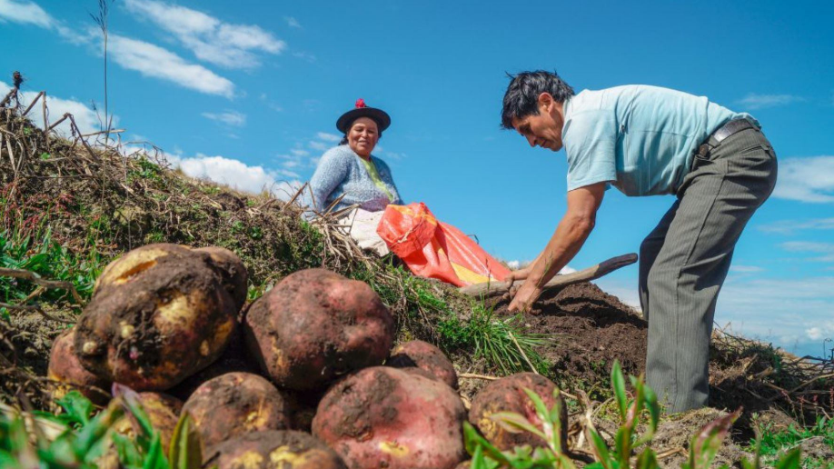 Sector agropecuario repunta y proyecta un cierre anual positivo Revista Industria Alimentaria